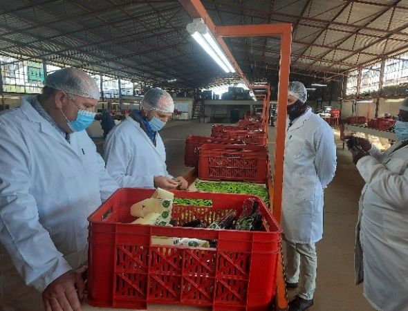 Establishing integrated agricultural projects